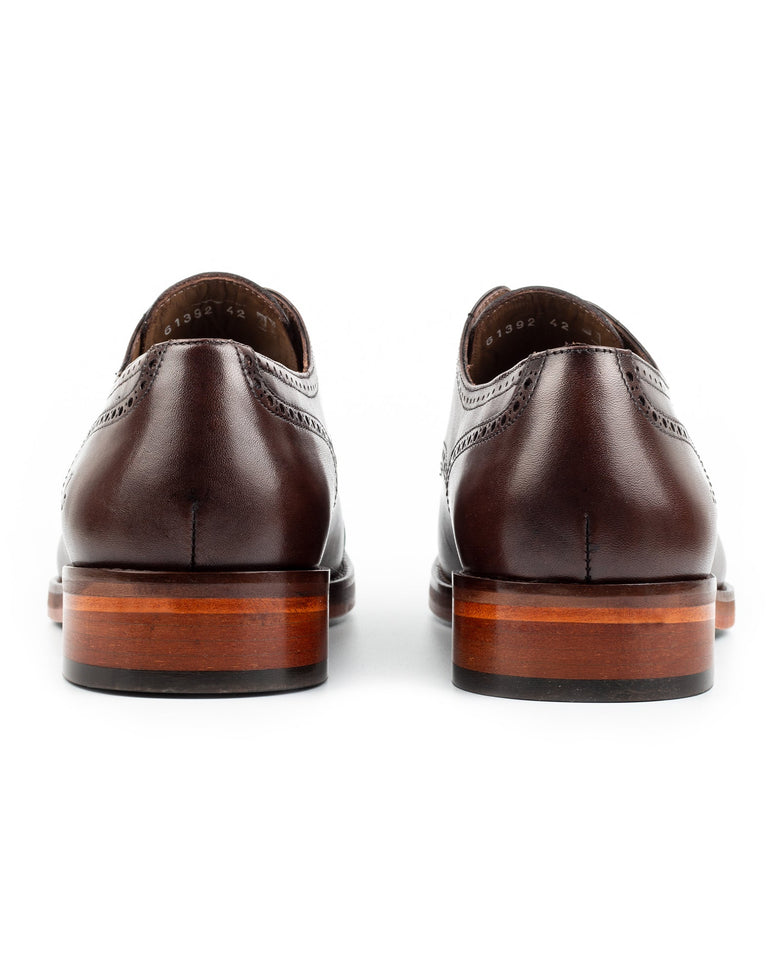 Chelia · derby · braun