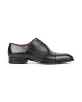 Lonzo · oxford · negro