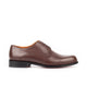 Brown Somoni