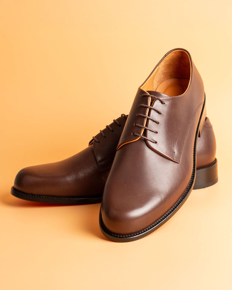 Somoni · derby · brown